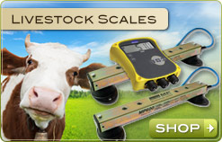 Livestock Scales